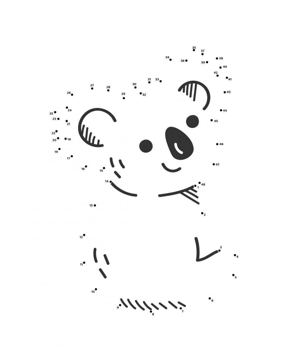Zeichnung Koala